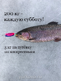 Стоимость рыбалки на зимний сезон.